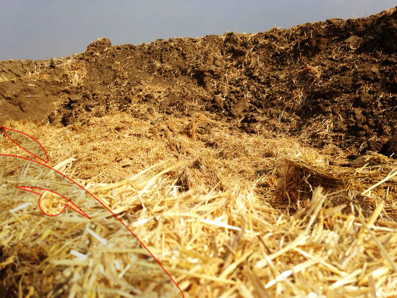 kerpiç tuğla, kerpiç, eski tuğla, restorasyon, ahşap, ahşap ev, tuğla, tuğlası, harman tuğla, arda tuğla