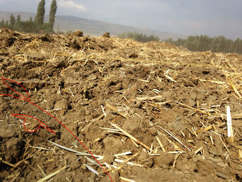 kerpiç tuğla, kerpiç, eski tuğla, restorasyon, ahşap, ahşap ev, tuğla, tuğlası, harman tuğla, arda tuğla